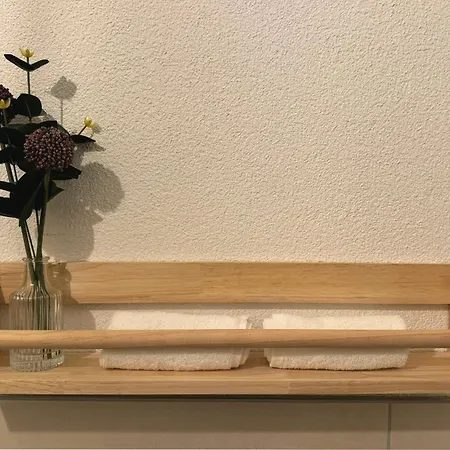 Familienurlaub Im Schwarzwald, Europapark-naehe